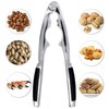 Granny's Kitchen Stainless Steel Nutcracker Made of Die-Cast Zinc -