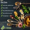 Children's Tea for Immunity | Pure Natural Herbal Tea Grown