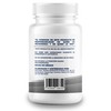 Zinc adicionado con Vitamina C y Gengibre - 100 Capsulas