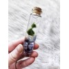 Marimo Moss Balls In Glass Jar - Live - Plant