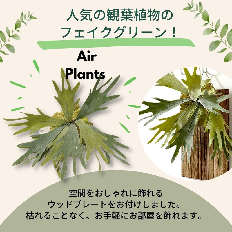 Faux Green House Plants Wood Plate Set SW2085 (Bicakfern) Bat