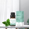 Sens éthéré 10ML & 30ML Peppermint Essential Oil Natural Plant