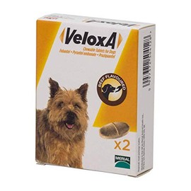 Veloxa Chewable Dog Wormer, 2 Tablets