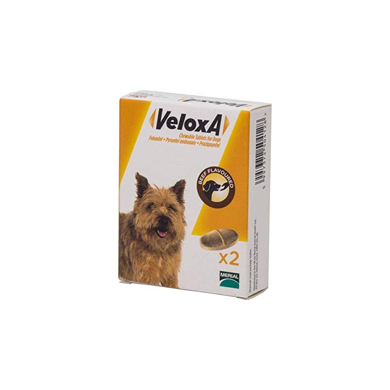 Veloxa Chewable Dog Wormer, 2 Tablets