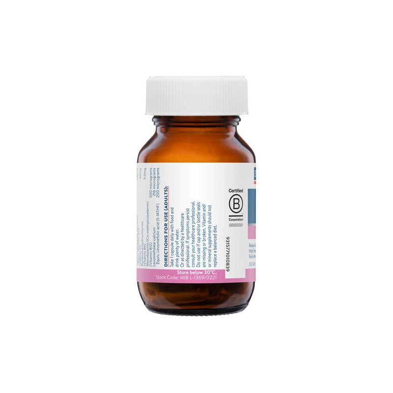 Ethical Nutrients Megazorb Mega Iron With Activated B's 30 Caps