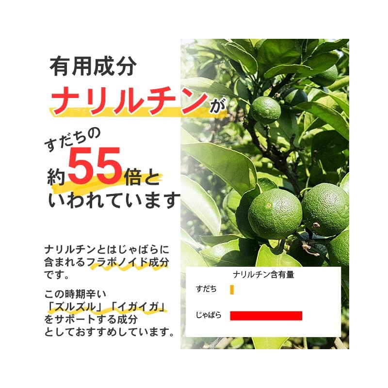 Lipsa T-734-3 Jabara Seeds, Approx. 1 Month Supply x 3