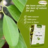 Shana Natural Drink Tea Sidr Leaves Herbal Drink Herbals Herb