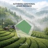 MatchAiA Premium Ceremonial Grade Organic Matcha Powder 60g