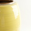 Son Story Buncheong Yellow Plain Rice Jar 20kg Rice Jar