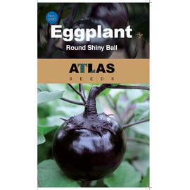 ATLAS Eggplant -Round Shiny Ball