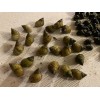15 Periwinkle + 50 Nassarius Live Saltwater Snails Fish Tank