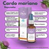 2 Extracto Cardo Mariano, 30ml / Depurador De Higado Shelo