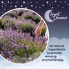 Sweet Dreams Sleep Stickers (28 Pack) - A Blend of