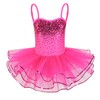 Enchanta Olivia Little Girls Sequin Leotard Dress Costumes with Sparkly