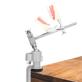 Typodont Teeth Model Mount Pole，Desktop Fixed 360° Rotating Training Stand with 28 Pcs Removable Tooth,Compatible with Kilgore, Columbia, Nissin，for Simulation Practice and Educational Practice