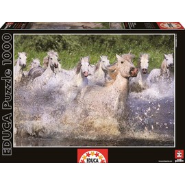 Educa 1000 Piece Jigsaw Puzzle