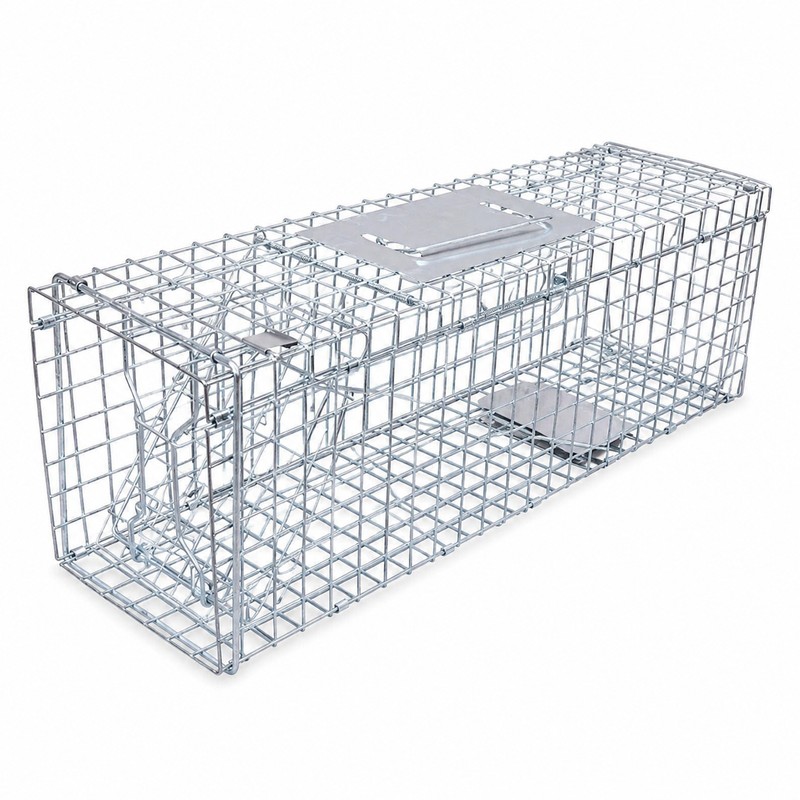 Large Animal Trap Cage for Live Capture – Foldable Stainless