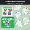 50 Piece Trivia Floor Jigsaw Puzzle - Life Size Koala