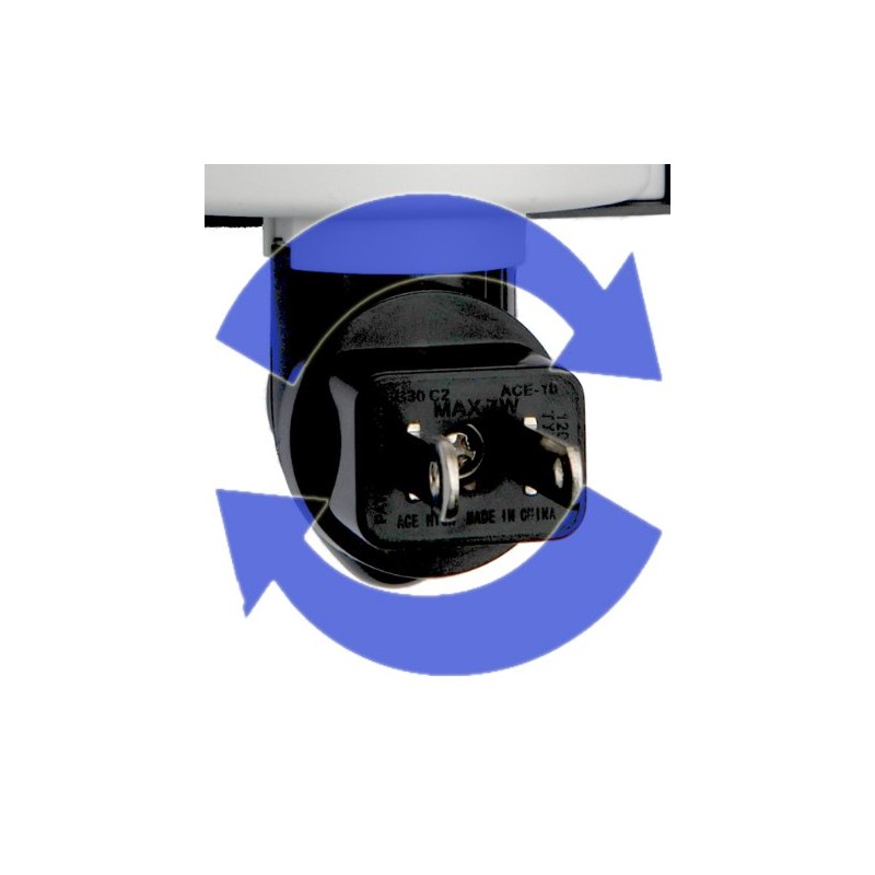 Night Light, Tropical Jungle, Trees, Forest, Green Moss, Landscape LED