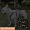 Wisebom Multi-Purpose Dog Harness, Escape Proof Anti-Pull Dog Harness, Anti