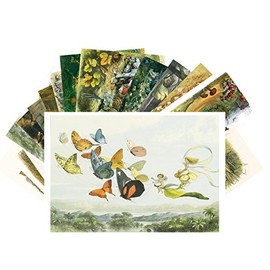 Vintage PostCards 24 pcs In FairyLand Vintage Kids Book Illustration Art