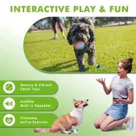 insum Squeaky Balls for Dogs, Squeaky Dog Toys Balls for Fetch, Funny Puppy Chew Toys, Built-in Squeaker, Idea for Doggie Birthday Gift, Medium - 4 Pack