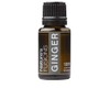 Nature's Fusions Ginger Root, 100% Pure and Natural Essential Oils,