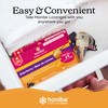 Honibe 100% Pure Honey Lozenges | Made in Canada |