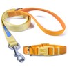 Dodo All Nylon Yellow Collar and Leash - Medium; Matching