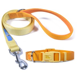 Dodo All Nylon Yellow Collar and Leash - Medium; Matching Cute Collar and Leash Set; Waterproof Set, Perfect for Beach Day or Trips to the Lake