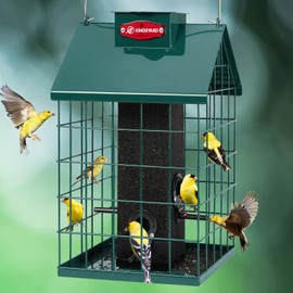 Kingsyard Squirrel Proof Caged Bird Feeder for Outdoor Hanging - Weatherproof Metal Mesh Tube Finch Bird Feeder with 4 Ports for Nyjer/Thistle Seed, Small Birds Goldfinches, Chickadees, Green