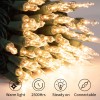 Minetom 100 Count Clear Warm White Mini Christmas String Lights