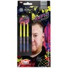 Bulls Ricky Evans 90% Steel Tip Darts 22 g