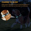 Paquete de 16 collares para cachorros, collares para cachorros, para