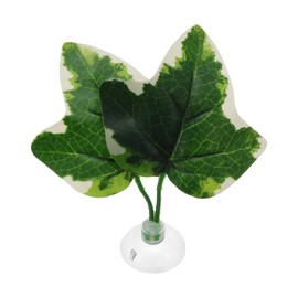 CAPASTEC Betta Fish Leaf, Natural Habitat Simulation for Betta Spawnings Grounds, Betta Spawnings Leaves, Resting Bed, Double Leaves, White Deep Green