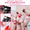 HYWWPFLAY Jelly Nail Stamper & Liner Nail Art Brushes -