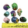 MMvolesy Creature Designs Hermit Crab Shells.Painted Hermit Crab Shells for