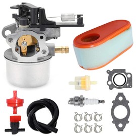 ANBOO 591137 590948 Carburetor for Briggs Stratton 111P02 114P02 11P902 121Q02 121Q07 121S02 121S07 121S75 124Q02 Pressure Washer 775EX TB360 Lawn Mower Tractor Carb with 795066 Air Filter