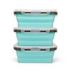 CARTINTS Set of 3 Collapsible Food Storage Containers with Lids,