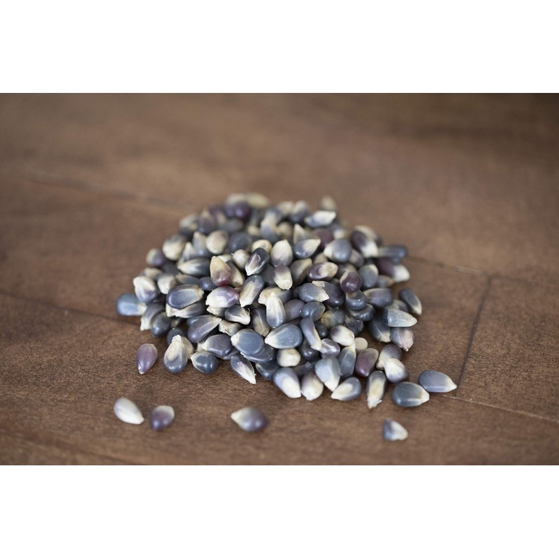 Amish Country Popcorn | 25 lb Bag | Midnight Blue