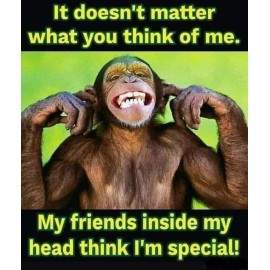 Funny  Chimpanzee    refrigerator magnet 3 1/2x 4 1/2"