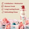 Old Spice GentleMan's Exfoliating & Moisturizing Body Wash for Men,