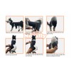 NeoAlly Dog Back Brace for Dogs Arthritis, IVDD, Spinal Surgical