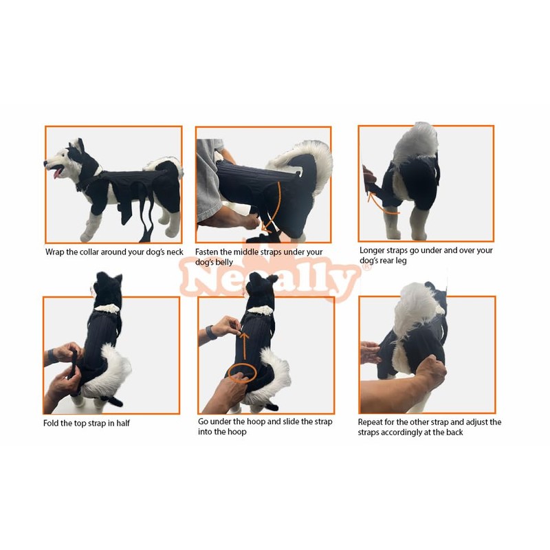NeoAlly Dog Back Brace for Dogs Arthritis, IVDD, Spinal Surgical