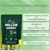 9 in 1 Mullein Leaf Extract Gummies for Lung Cleanse,