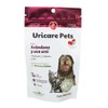 NTX BY NARTEX Suplemento Problemas Urinarios En Perros/Gatos 90g (Individual)