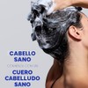 Head & Shoulders Champú anticaspa, limpieza clásica, tratamiento de uso