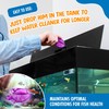 Clarence the Clarifier Fish Aquarium Water Clarifier | Clear Cloudy