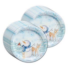 Snowman Birthday Party Supplies Set Plates Napkins Cups Kit for 16