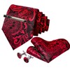 ROBERTO GABBANI Red and Black Paisley Tie Set for Men,